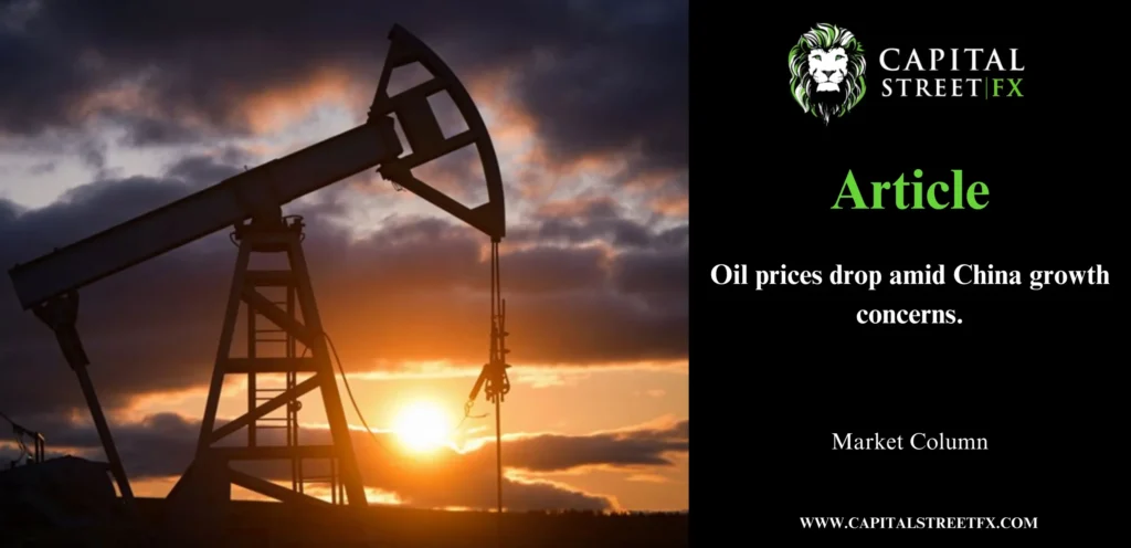 Oil Prices Dip on China Growth Concerns