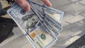 dollar article