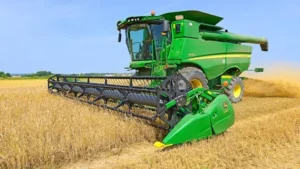 wheat price