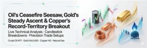 commodity daily 1