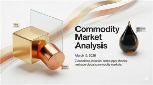 commodity daily 3